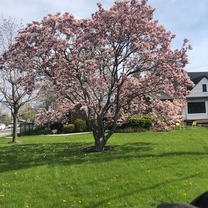 Meet your Posher, Whitney